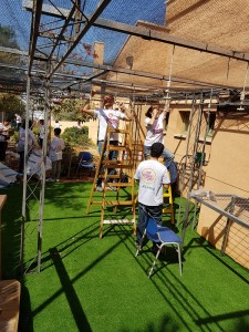התקנת כיסוי החממה ברשת צל